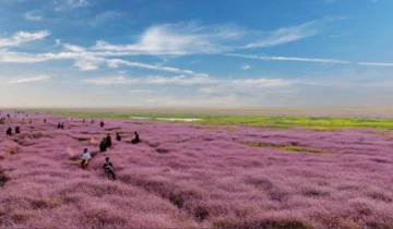 Yugan County, Jiangxi Province