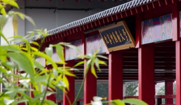 Beijing University of Chinese Medicine: Taking TCM to the World
