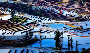 Honghe Hani Rice Terraces: Yunnan’s Thousand-Year Agricultural Masterpiece