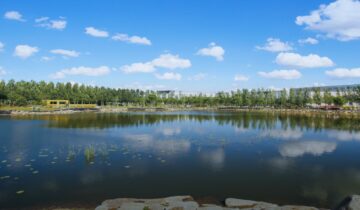 Jilin University: Six Streams, One Institution
