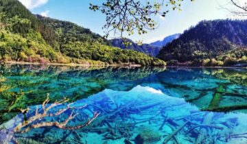 Jiuzhaigou Valley: Where Water Learned Every Shade of Blue