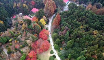 Lushan National Park: Chinese Landscape Painting Comes to Life