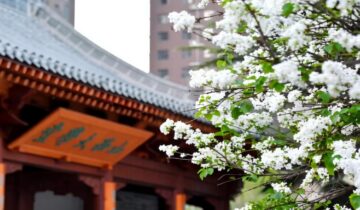 Shanxi University: China’s Third University, Built on Philosophy and Physics