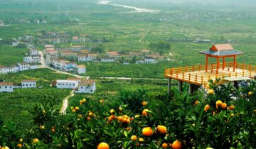 Chenggu County, Shaanxi Province