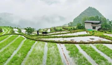 Dong’an County, Hunan Province