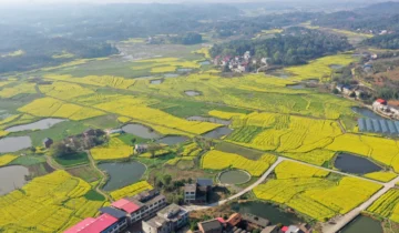 Hengnan County, Hunan Province