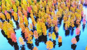 Hexian County, Anhui Province