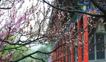 Heyang County, Shaanxi Province
