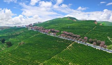 Huishui County, Guizhou Province