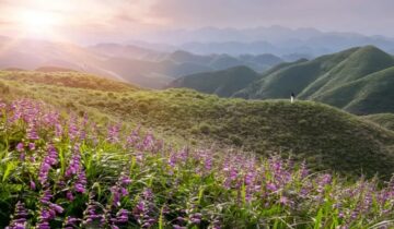 Jinsha County, Guizhou Province