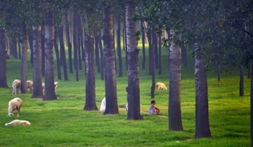 Juancheng County, Shandong Province