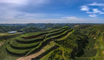 Mizhi County, Shaanxi Province