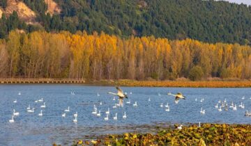 Pinglu County, Shanxi Province