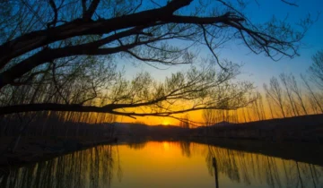 Pingyin County, Shandong Province