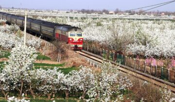 Pucheng County, Shaanxi Province