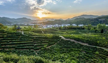 Qimen County, Anhui Province