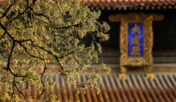 Qufu City, Shandong Province