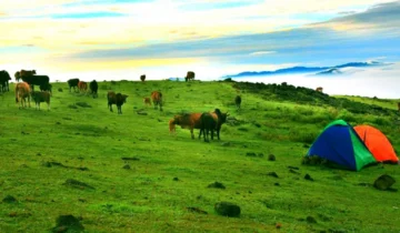 Rucheng County, Hunan Province