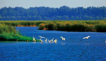 Shanxian County, Shandong Province