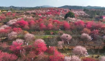 Shaodong City, Hunan Province