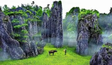 Sinan County, Guizhou Province