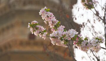 Xunyi County, Shaanxi Province