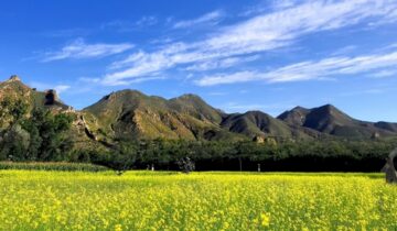 Yanggao County, Shanxi Province