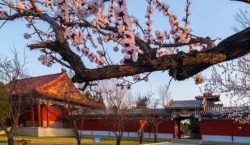 Yucheng City, Shandong Province