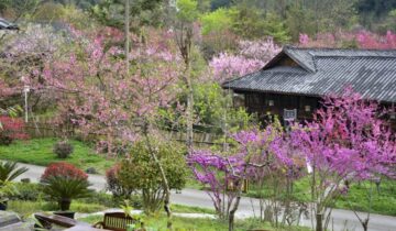 Zheng’an County, Guizhou Province