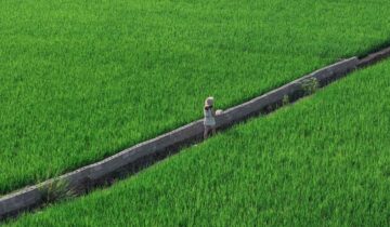 Zhenning Buyi and Miao Autonomous County, Guizhou Province