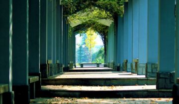 Hangzhou Dianzi University