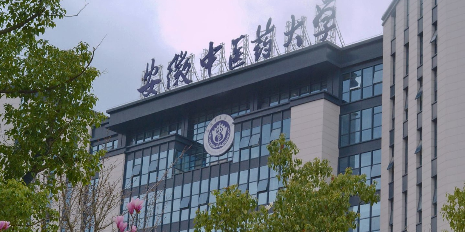 Anhui University of Chinese Medicine