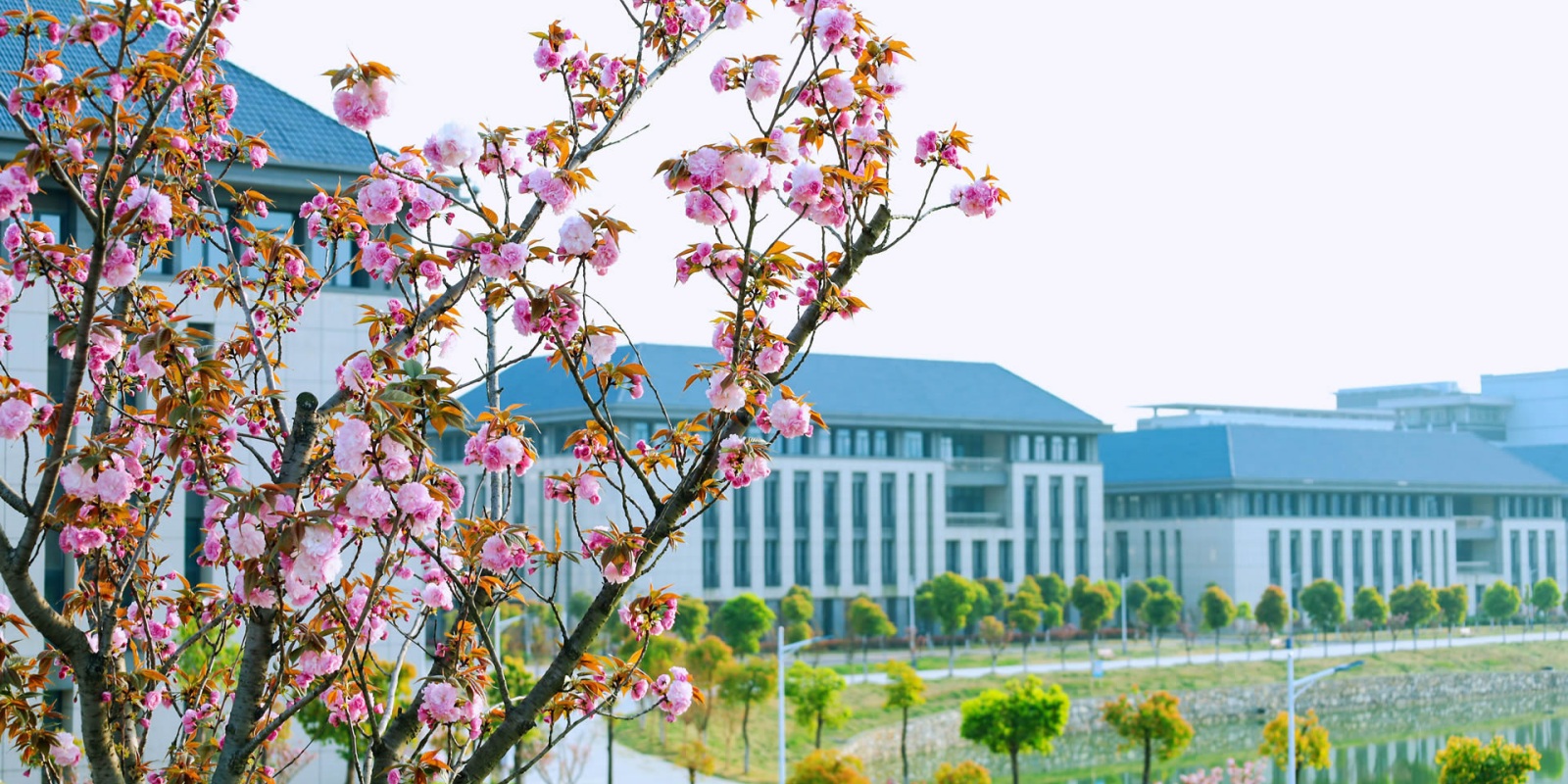 Anqing Normal University