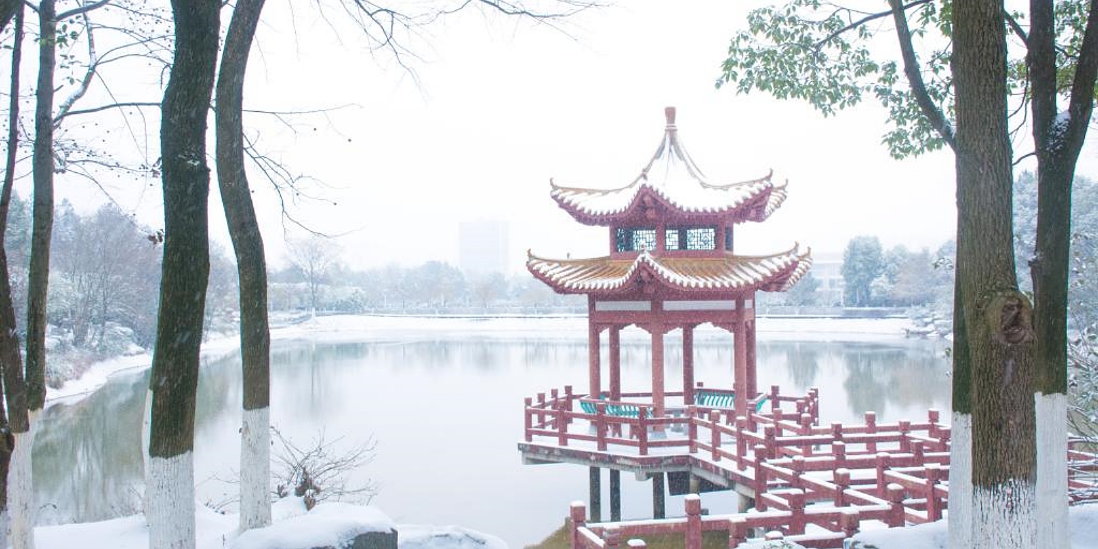 Jiangxi University of Chinese Medicine