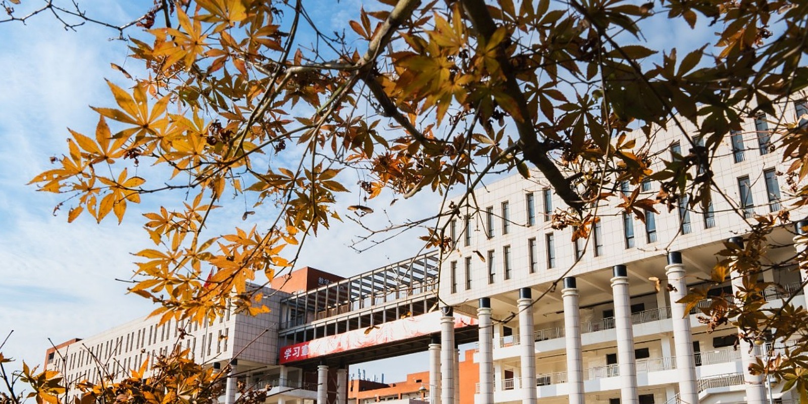 Xinyu University